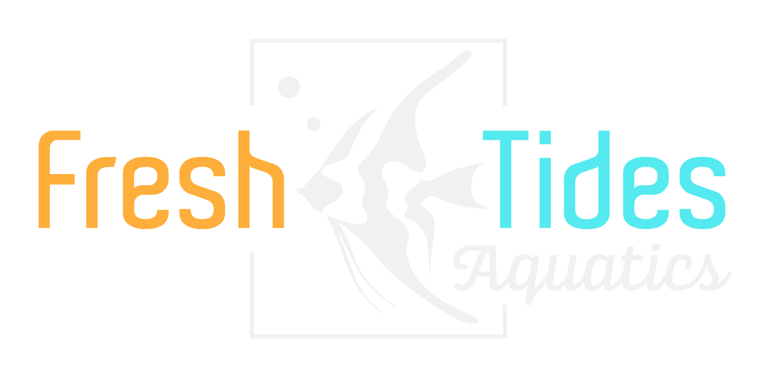Fresh Tides Aquatics