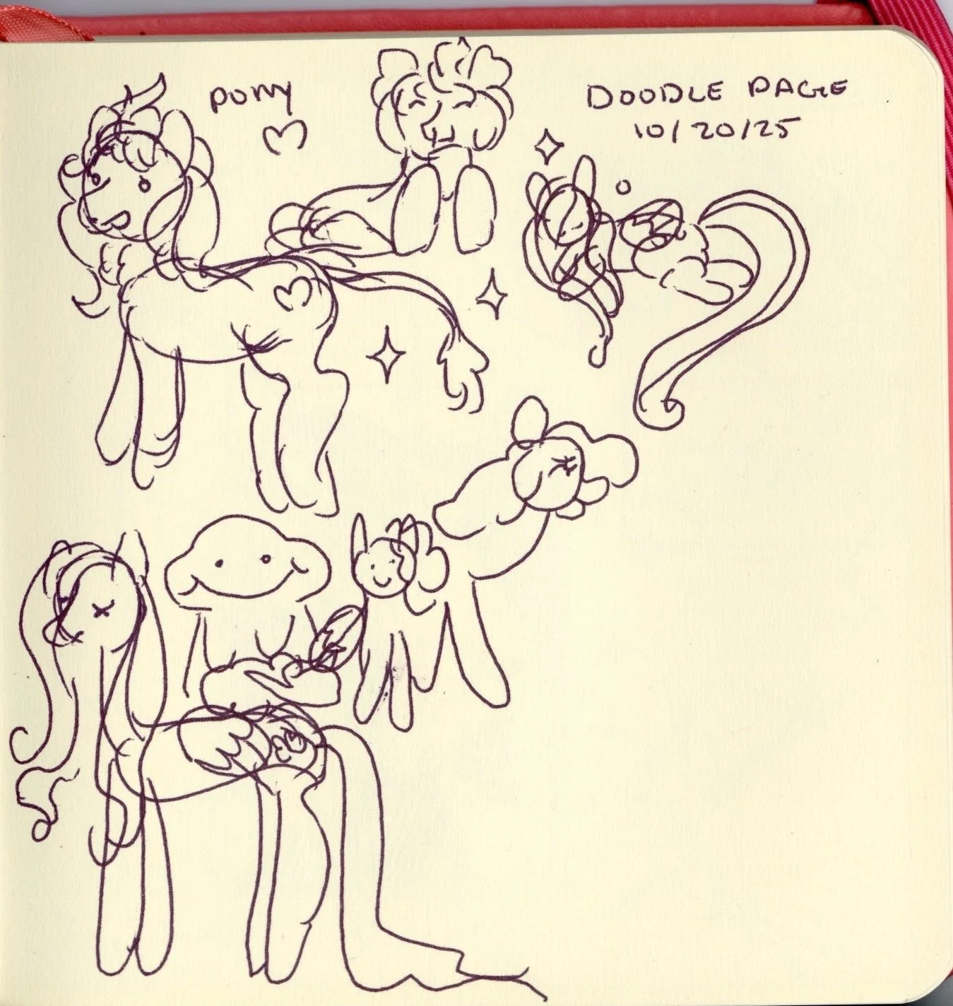 img20251106_11434907 copy.jpeg