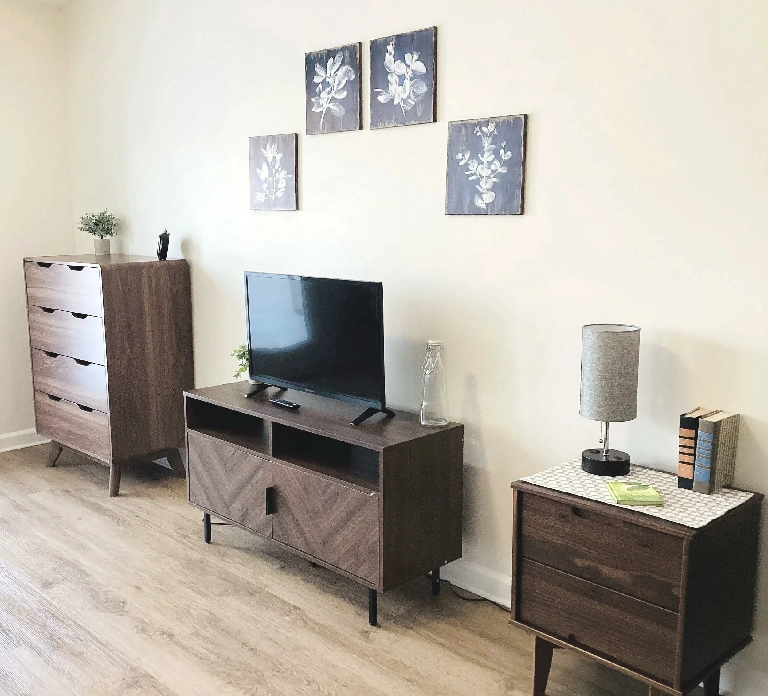 Living room with modern wooden furniture, a flat-screen TV, framed botanical artwork on the wall, a table lamp, books, and decorative plants.