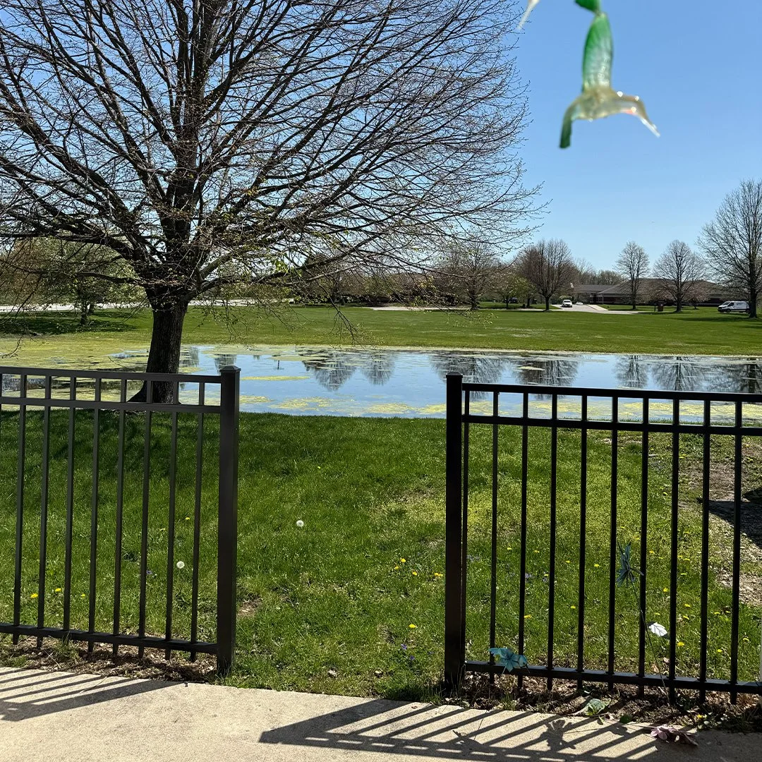 A fenced yard with a green lawn, a pond with algae, a leafless tree, and a clear blue sky. In the background, there are houses and parked cars.