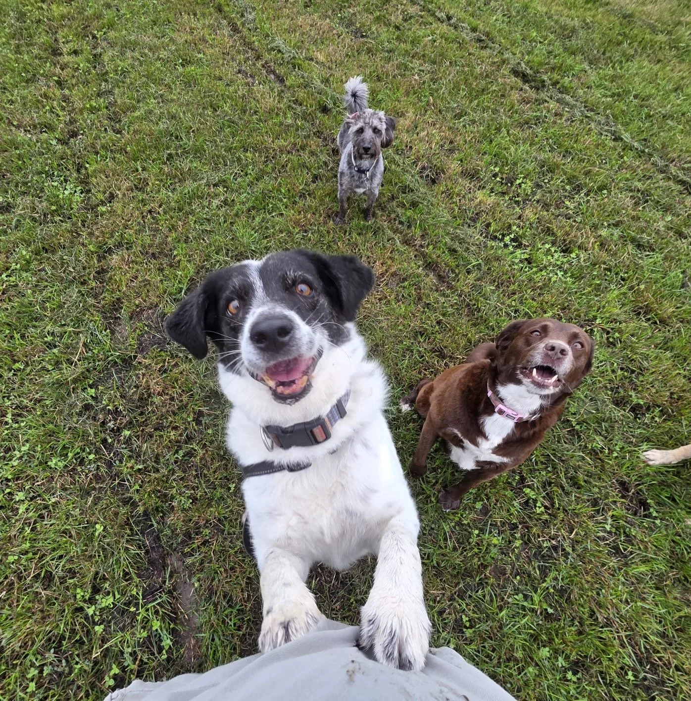 Group Walks (Double slot)