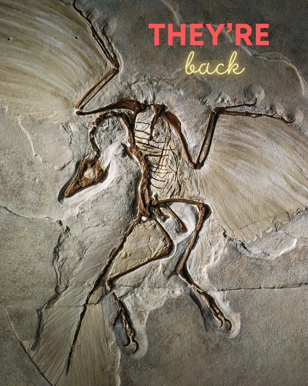They're back. Walk the Path of the Dragon. #dragons #dinosaur #fossil #myth #travel #archaeology #spiritualawakening