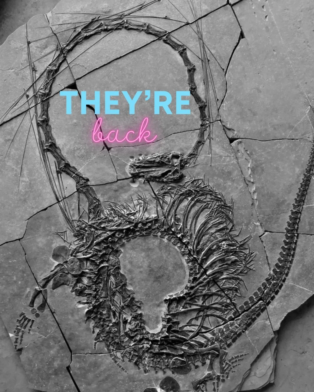 They're back. Walk the Path of the Dragon. #dragons #dinosaur #fossil #myth #travel #archaeology #spiritualawakening