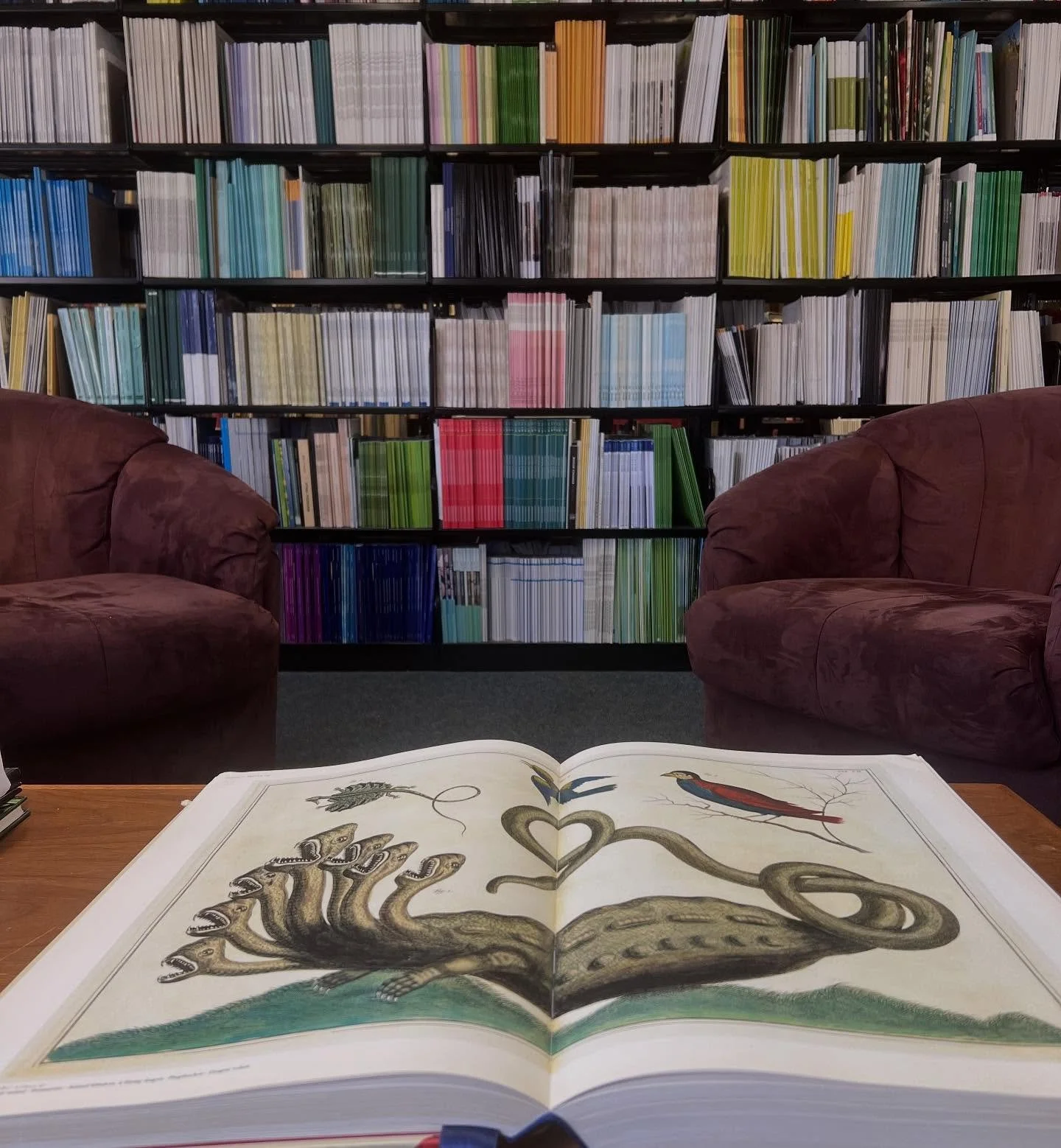 The Hydra : Seven-Headed Serpent. Written to be seen in Hamburg in 1720 ( Albertus Seba&rsquo;s Cabinet of Curiosities, 1734-1765)