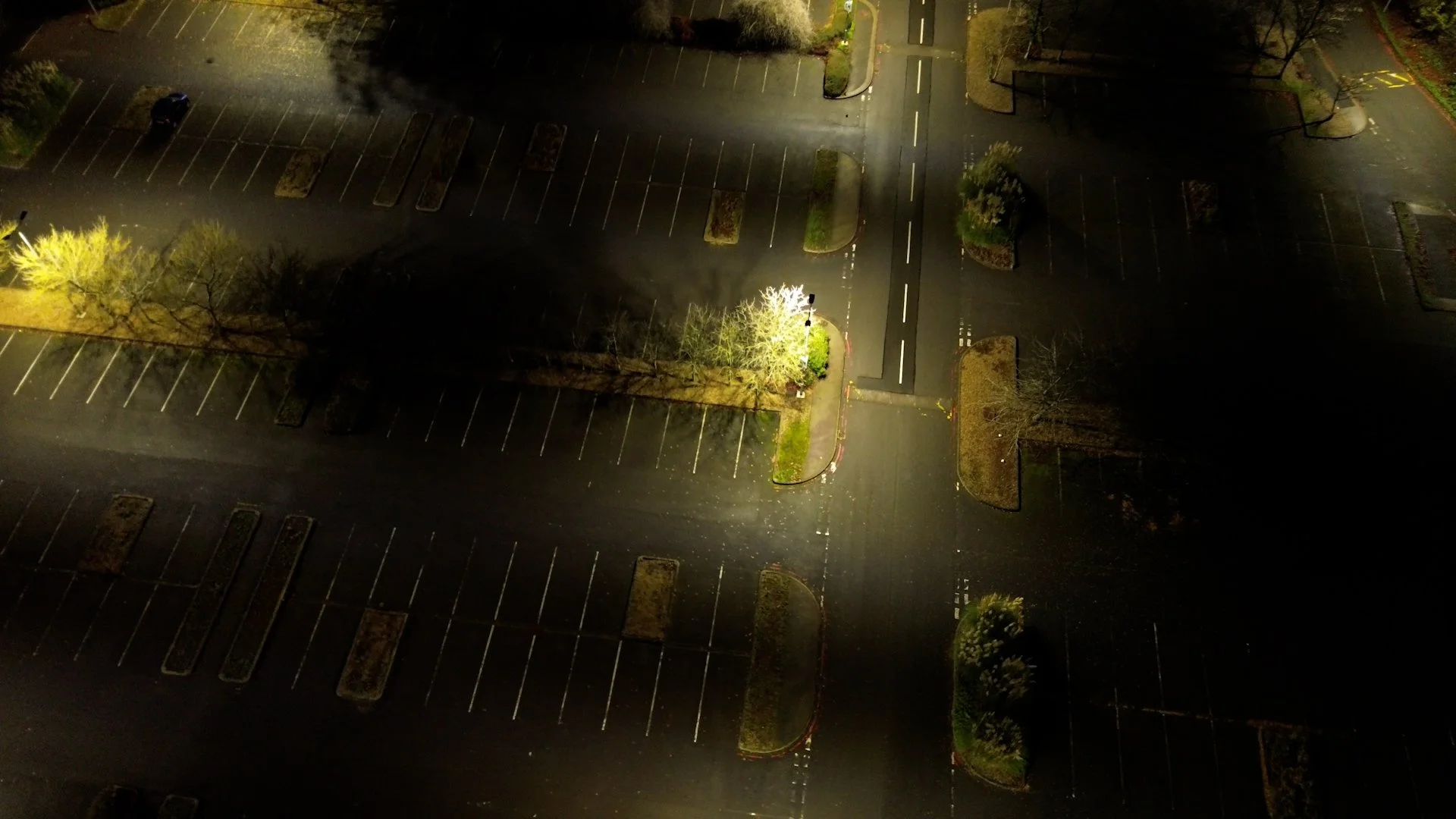 Empty parking lot at night illuminated by streetlights with trees and marked parking spaces.