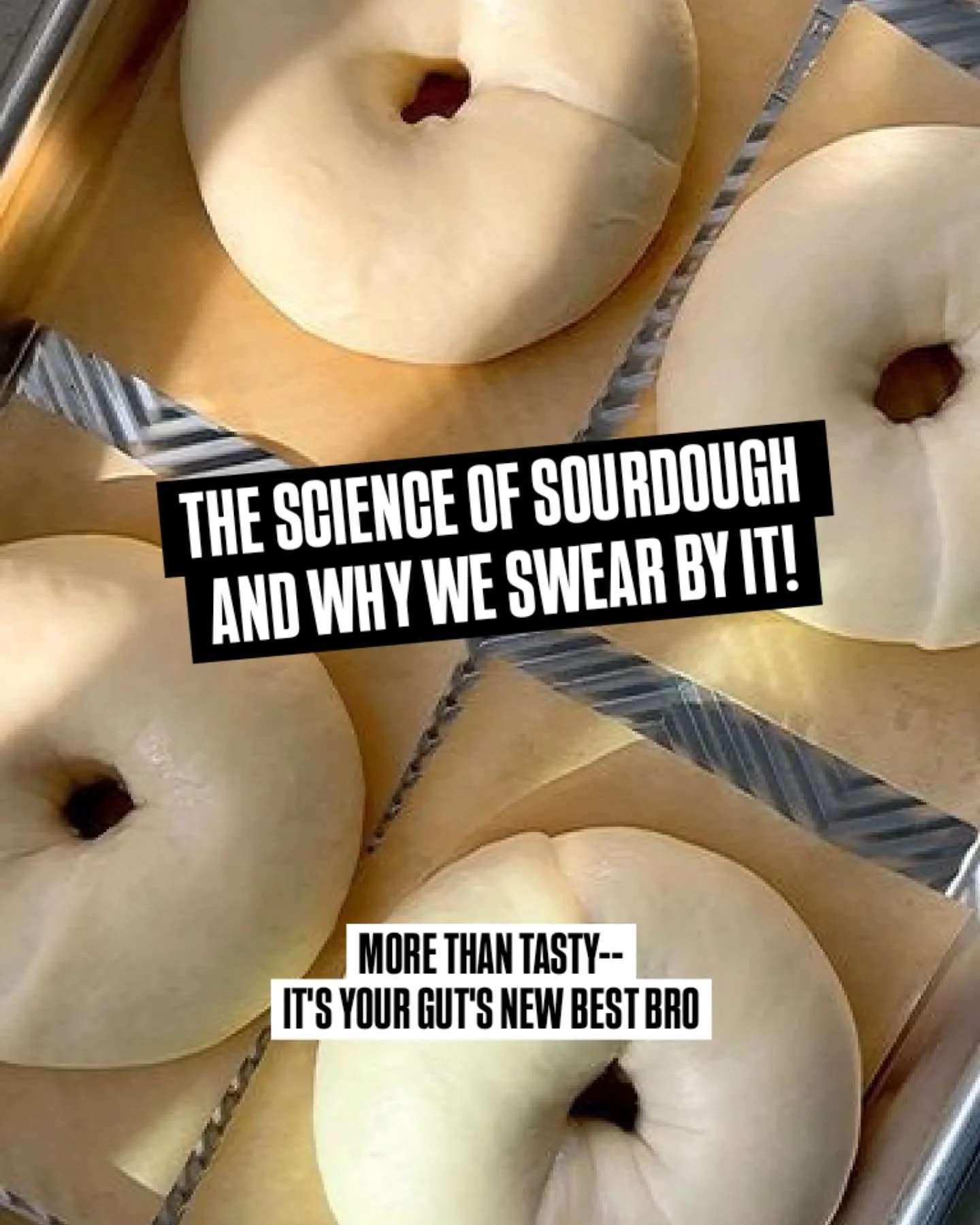 Sourdough isn&rsquo;t just tasty&mdash;it's a gut-health hero.
Most bread is made quickly with commercial yeast and refined flour. But real sourdough? Fermented naturally, packed with nutrients, and gentle on your gut. 

Here&rsquo;s why:

Lower glut