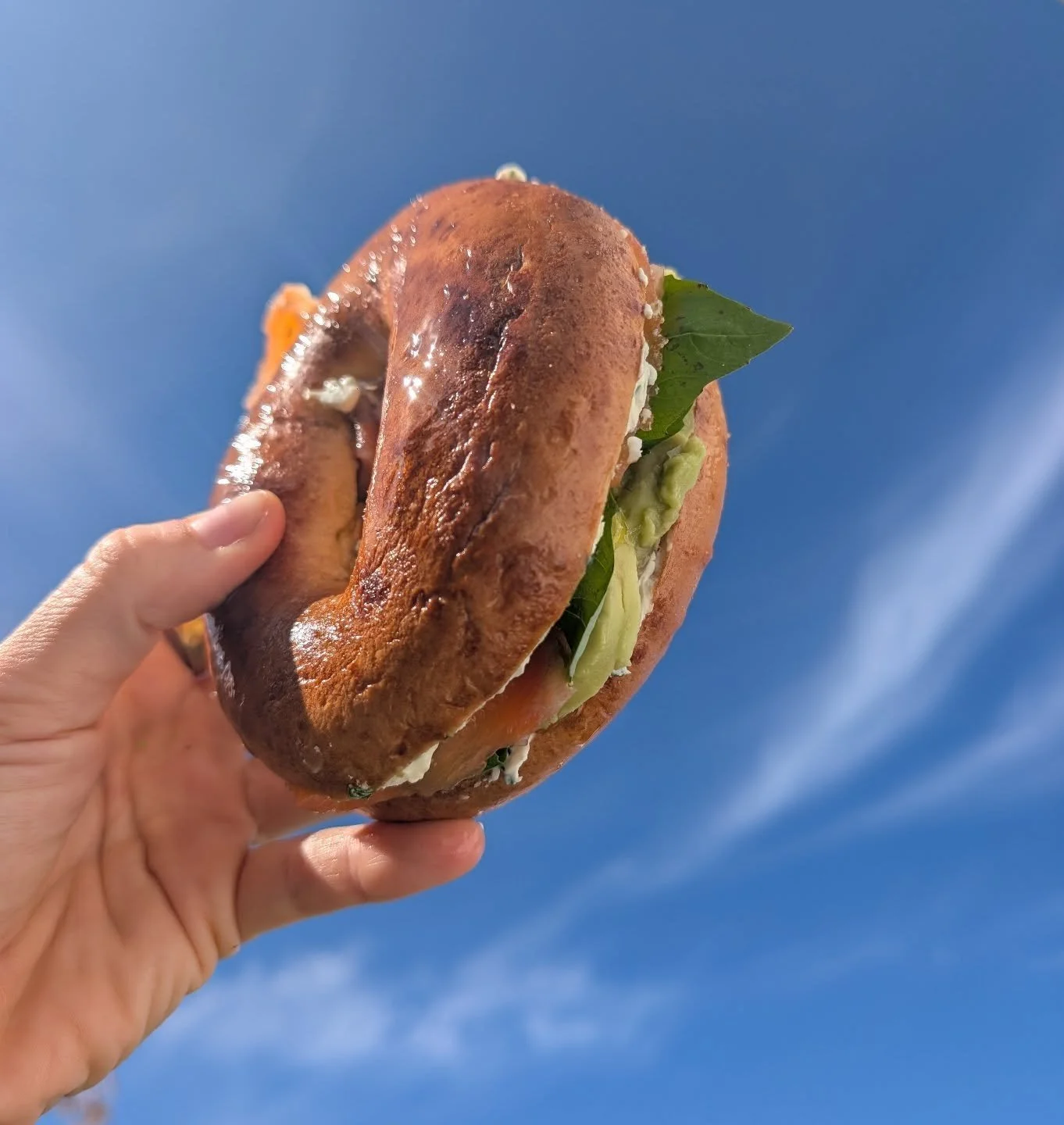 HAPPY MONDAY Y'ALLL 🥯🤙