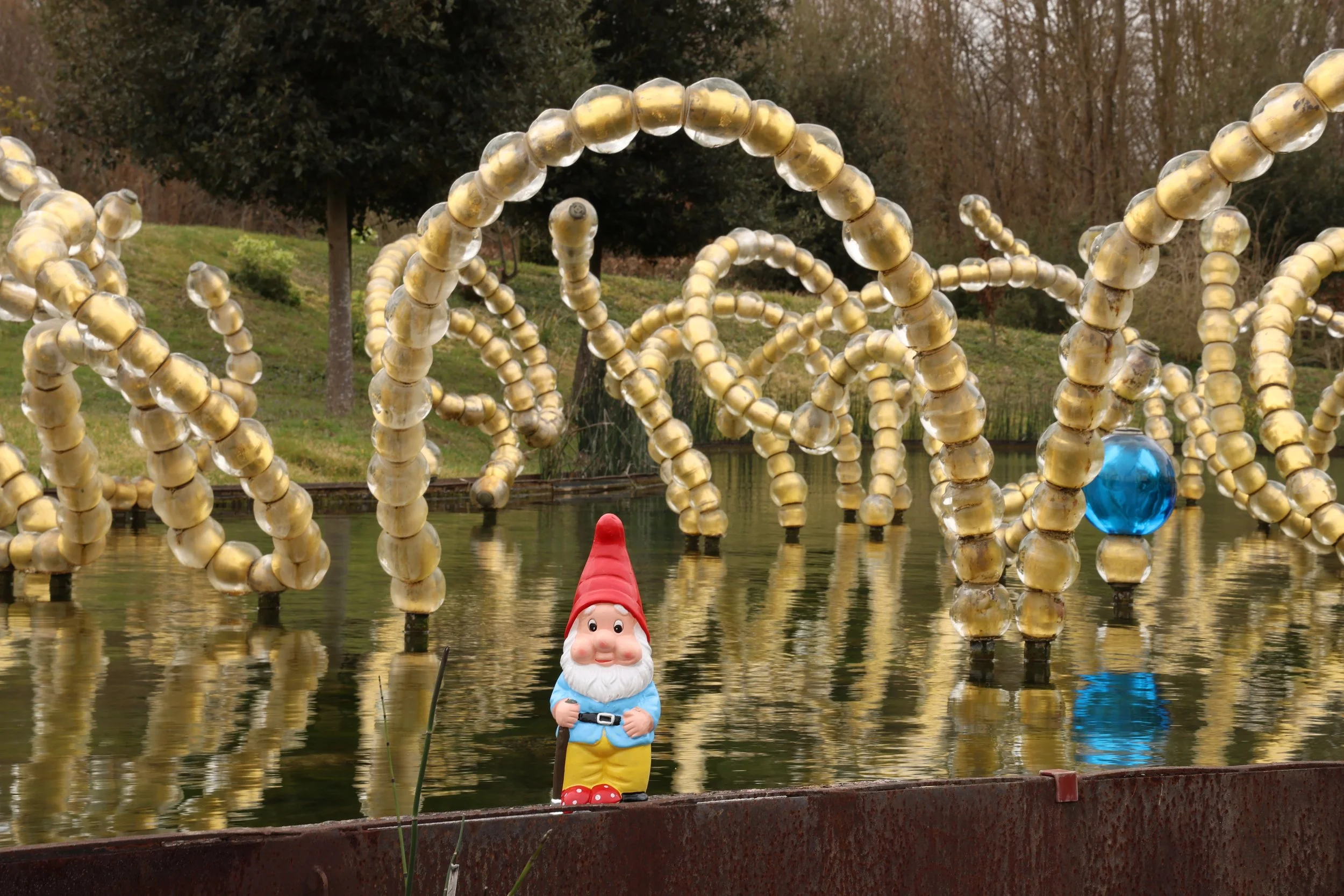 Une insolite histoire de selfies