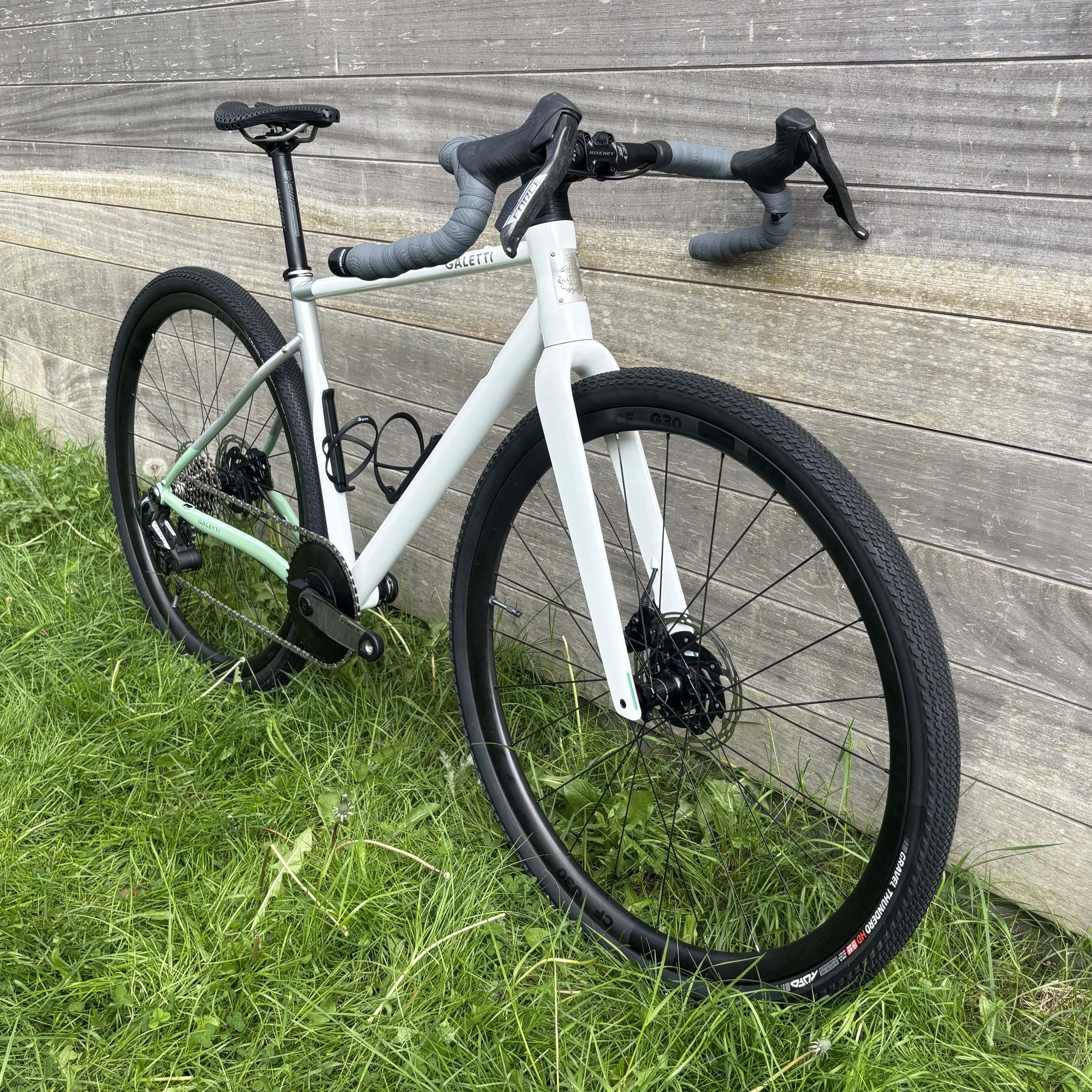 galetti terra erwin 3.jpg