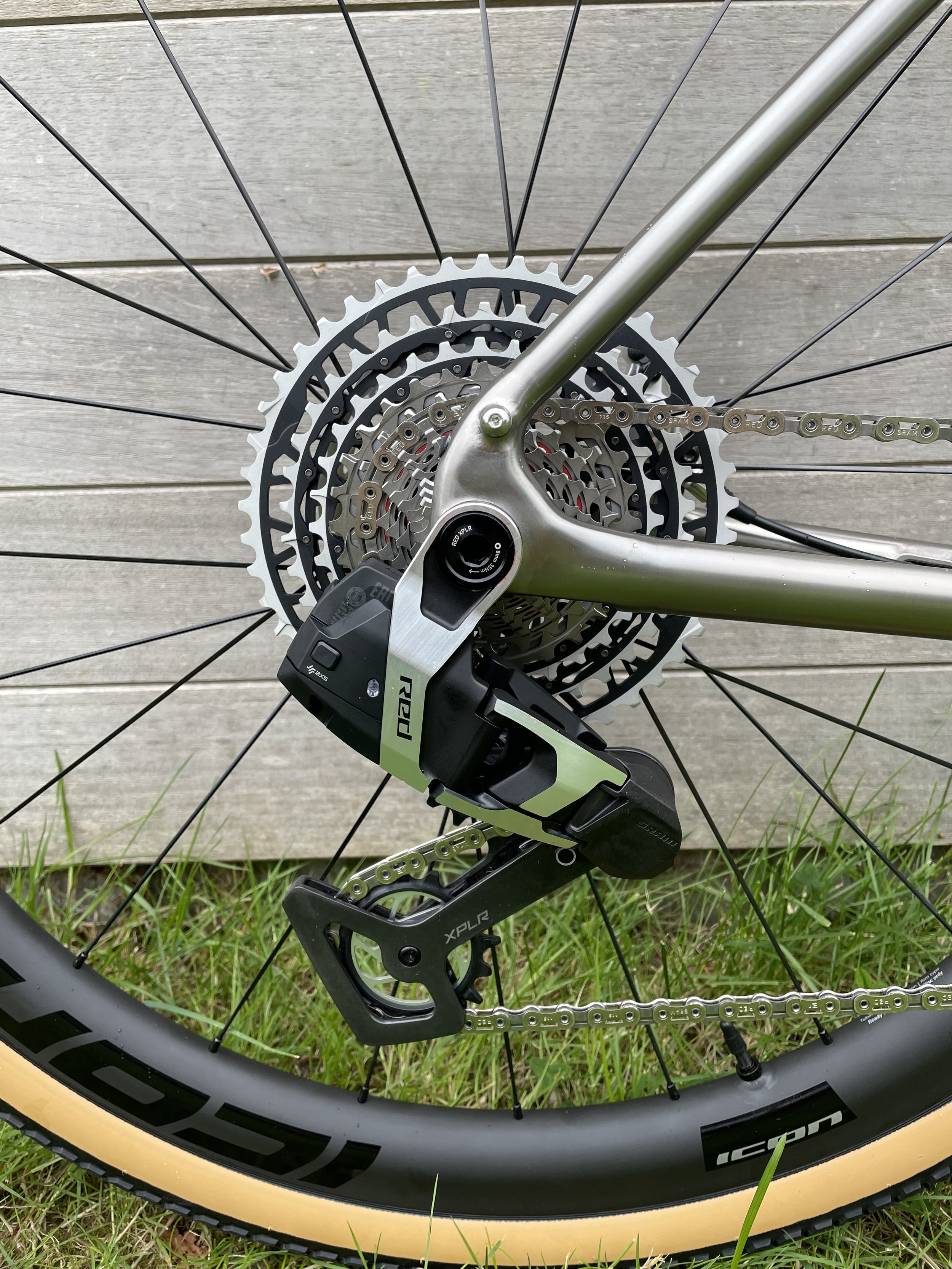 tigra walter 23.jpeg