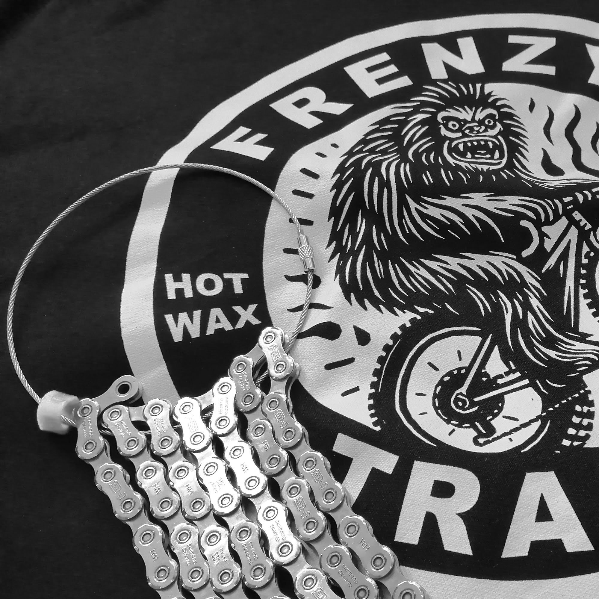 Zwart-wit foto van een logo met een leeuw en de tekst "The ReenZ" op een zwarte achtergrond, met een zilveren ketting met metalen onderdelen eroverheen.