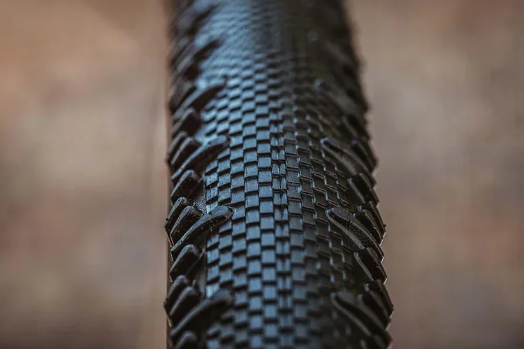 schwalbe+RS+3.webp