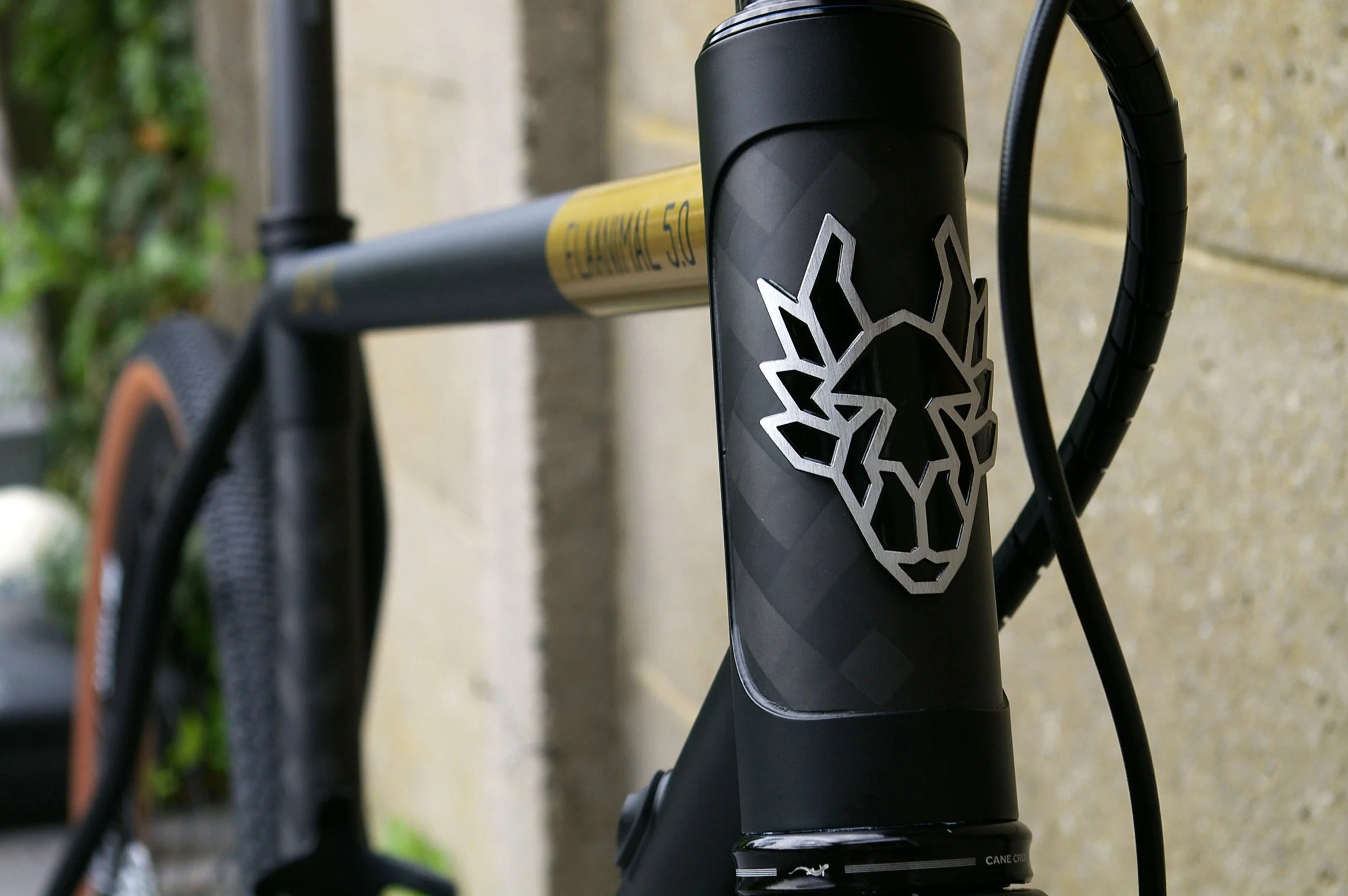 rodeo labs flaanimal marc 9.jpg