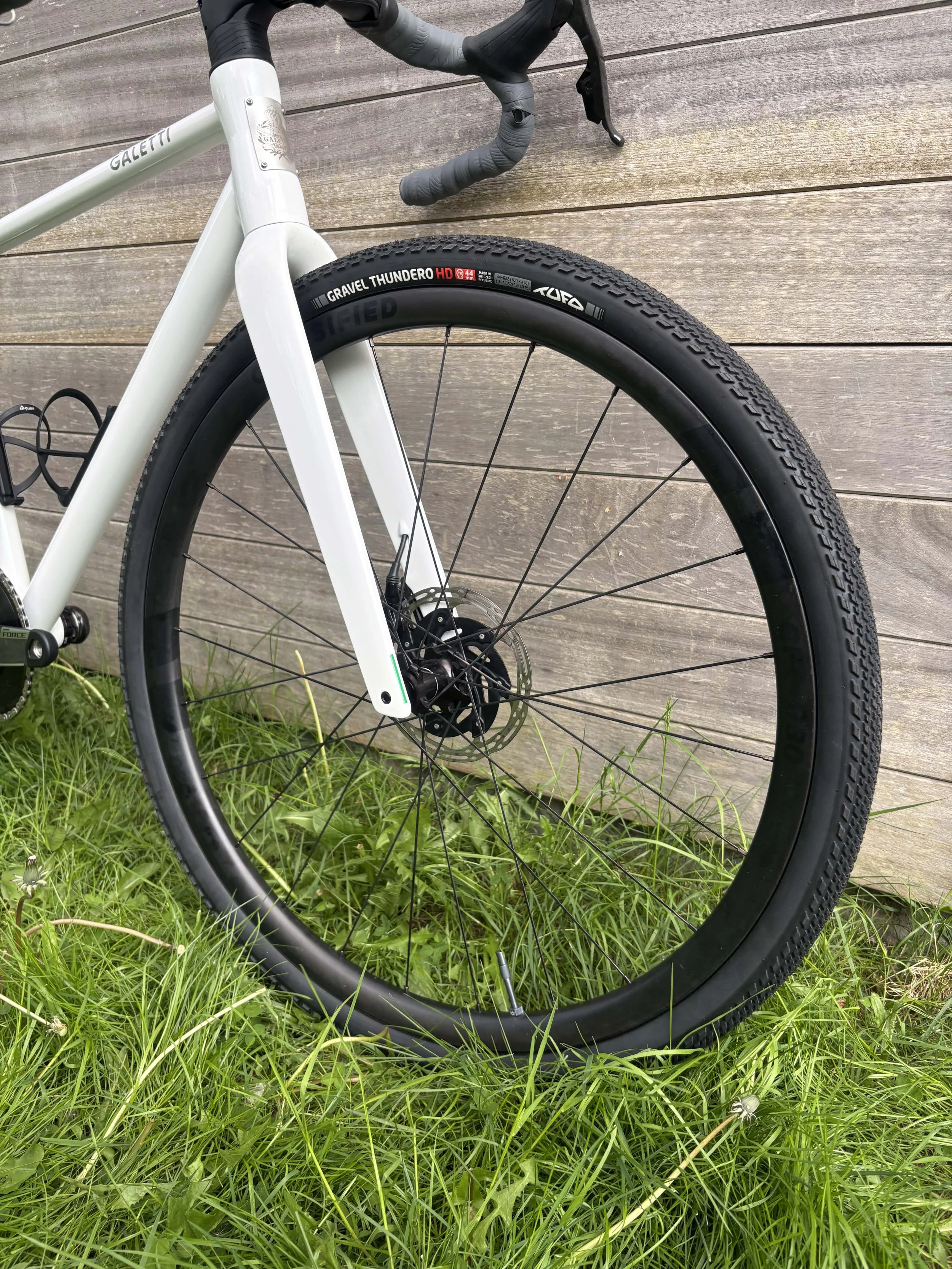 galetti terra erwin 25.jpg