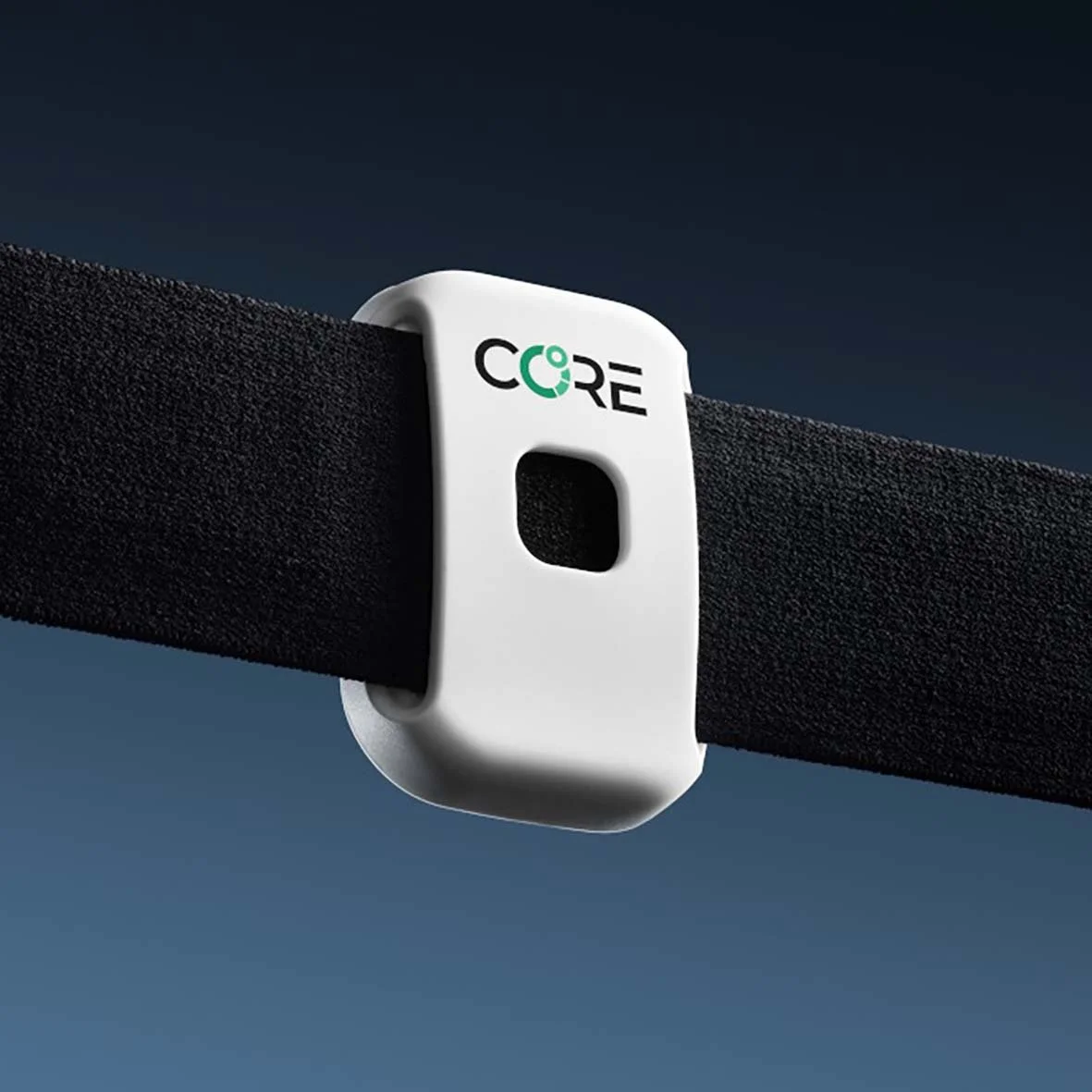 core1.jpg