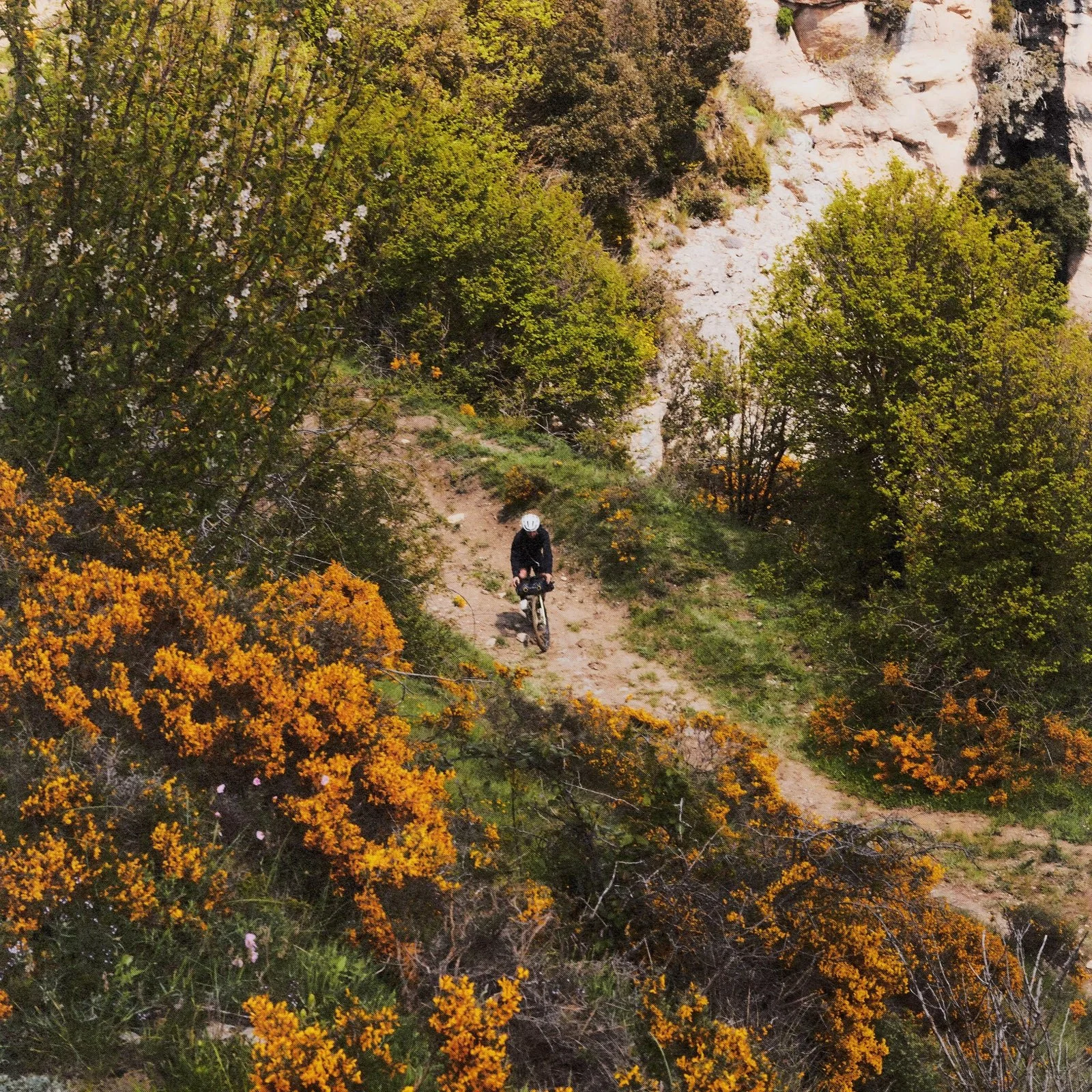 Iemand fietst op een smal pad door een landschap met groene en oranje bloemen en groene struiken, met rotsen op de achtergrond.