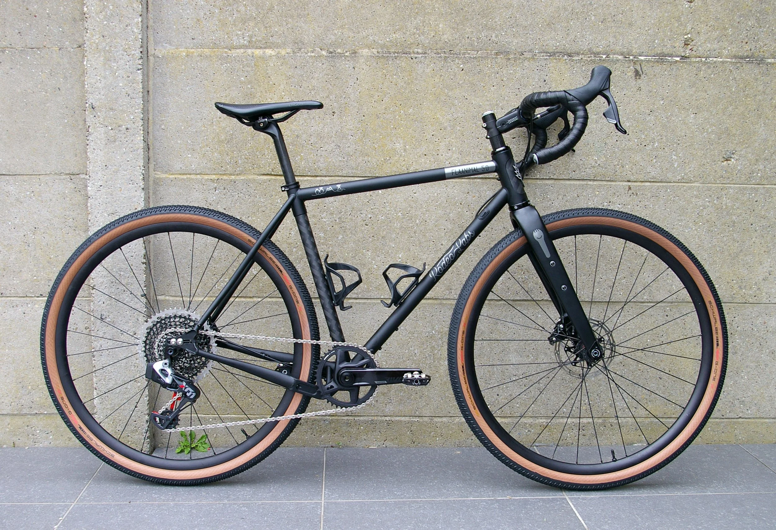 rodeo labs flaanimal erwin 2.jpg