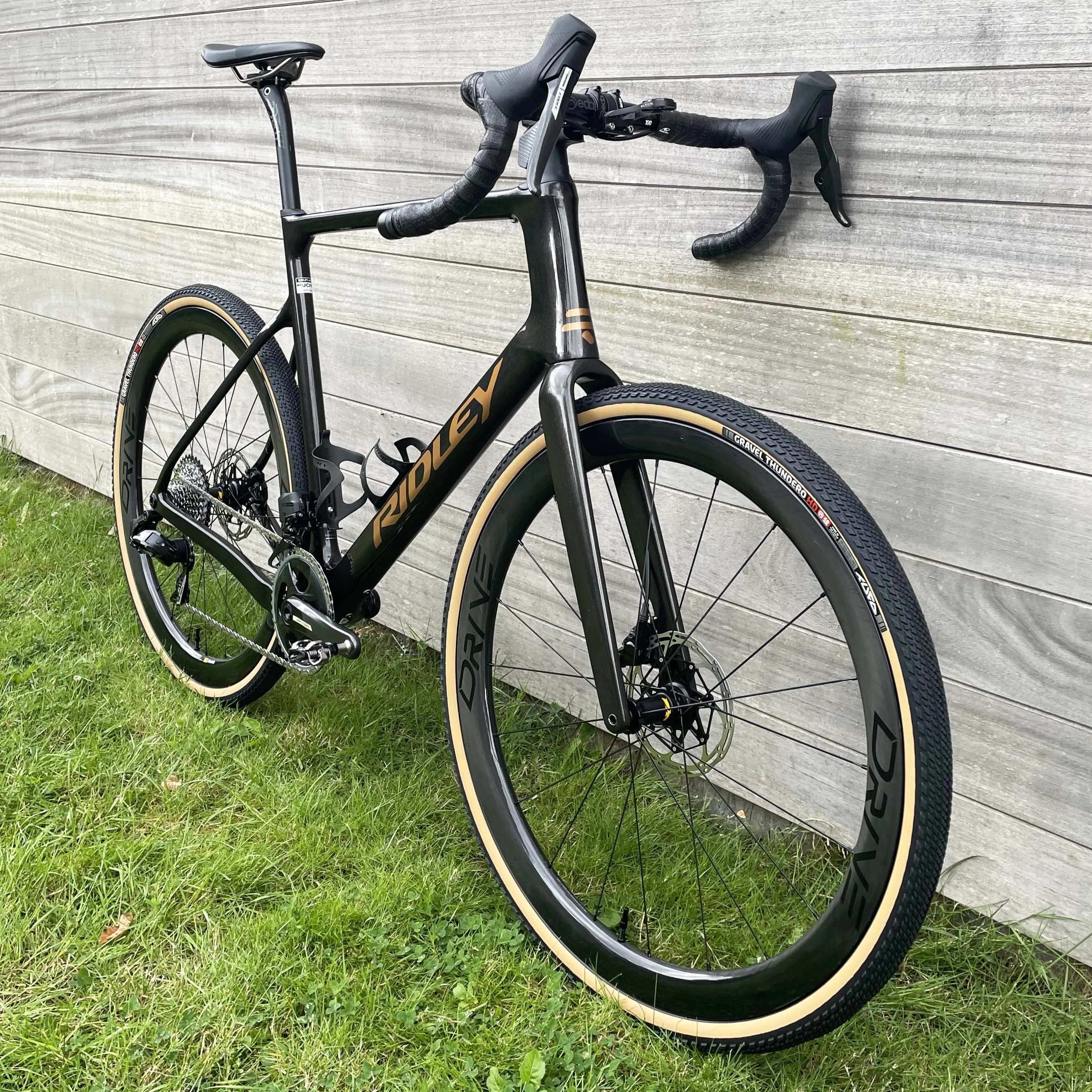 ridley astr david I 2.jpg