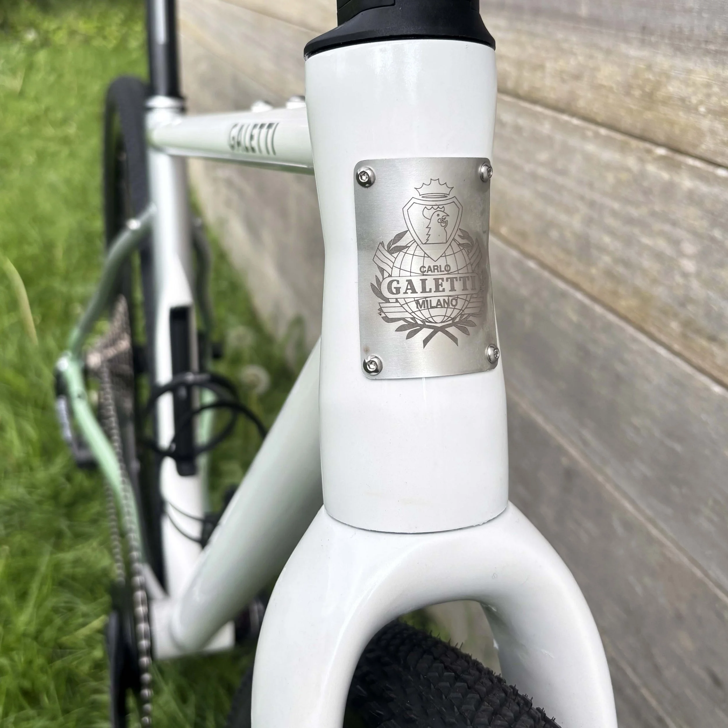 galetti terra erwin 5.jpg