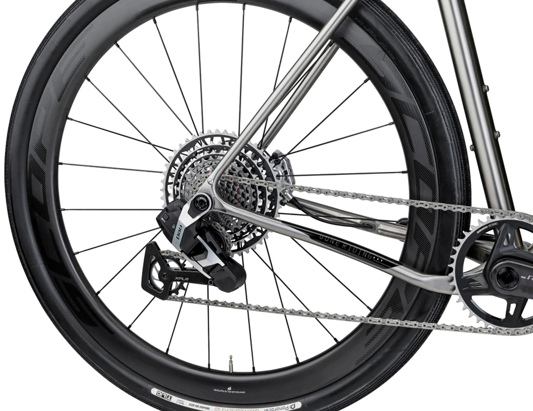 ATALAYA 2025 REAR D.jpg