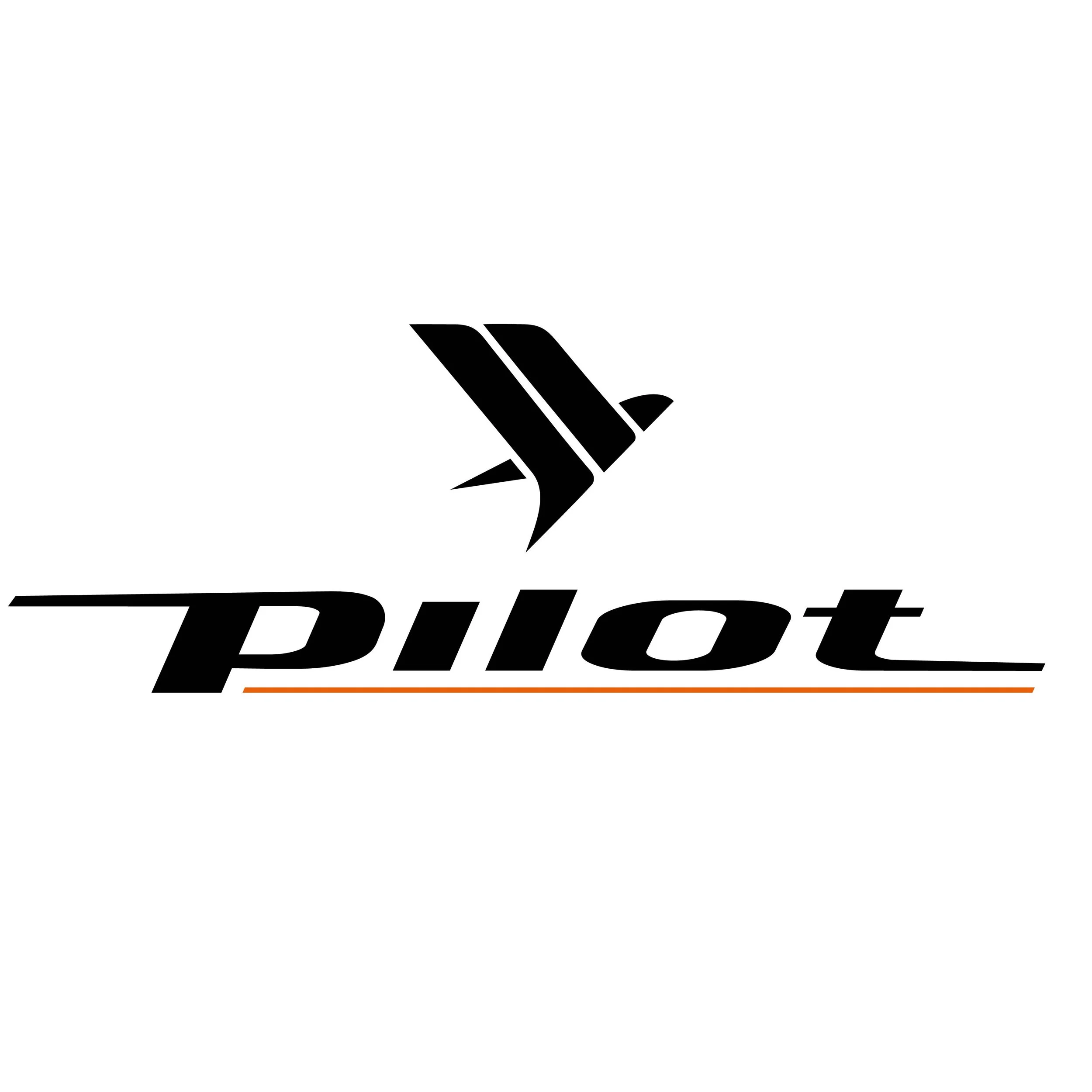 pilot.jpg