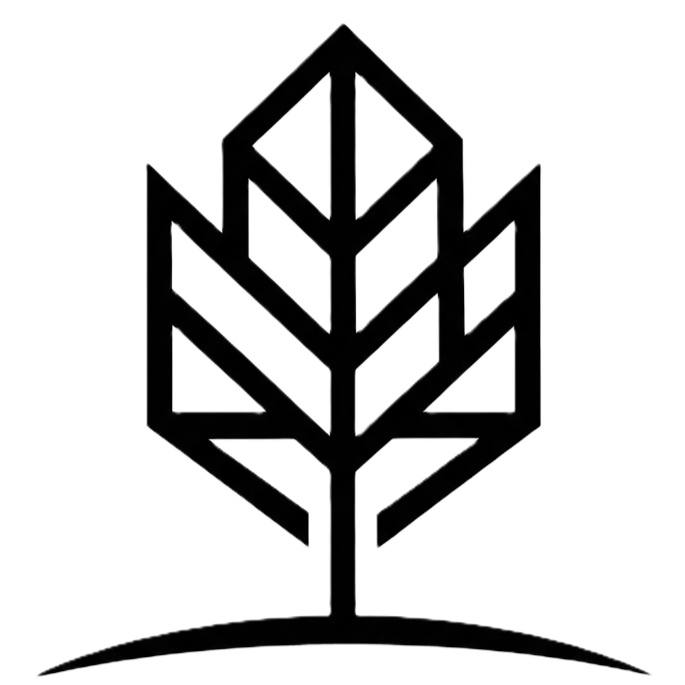 Marchmont Capital Holdings Ltd