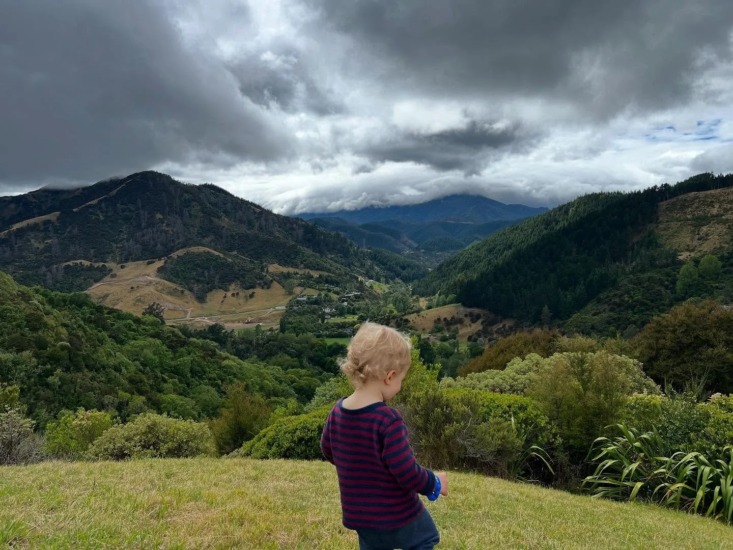 View from &ldquo;Center of New Zealand&rdquo; in Nelson. This place is gorgeous!