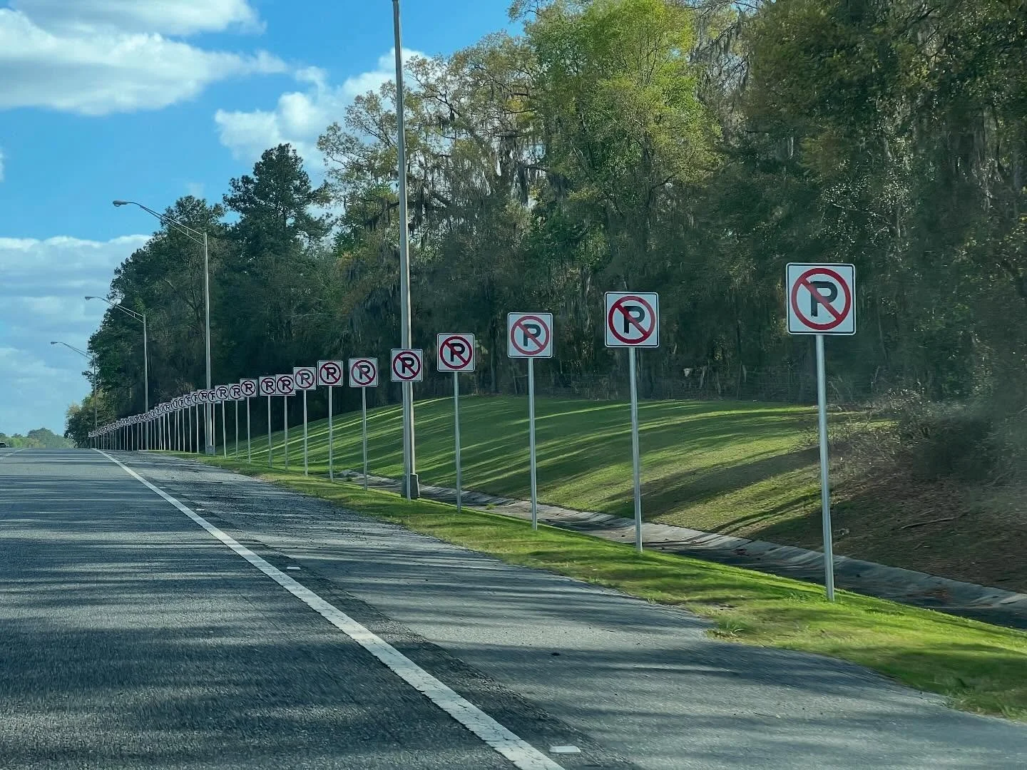 So I guess maybe Florida has a problem with people poorly interpreting the intention of no parking signs? #WildflowersFest #OkeechobeeFest