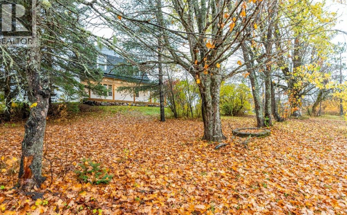A backyard covered with fallen autumn leaves, trees with sparse yellow and orange leaves, a house with a deck in the background.