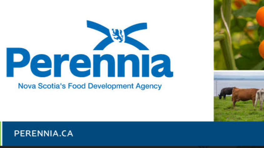 Perennia logo with blue text and emblem, and images of orange tomatoes, cows grazing in a field, and agricultural fields in the background.
