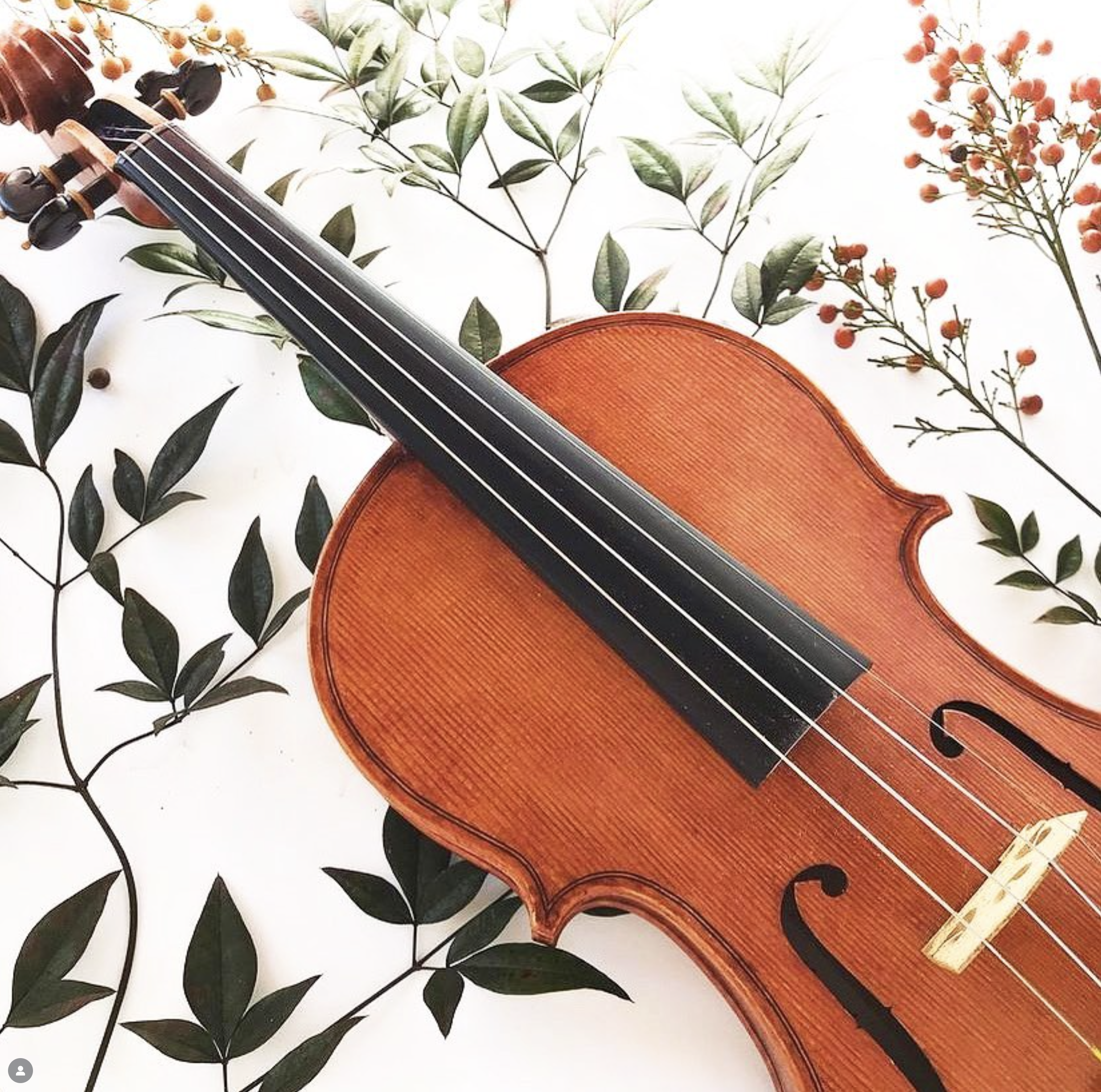 Screenshot 2025-12-11 at 1.52.17 PM.png