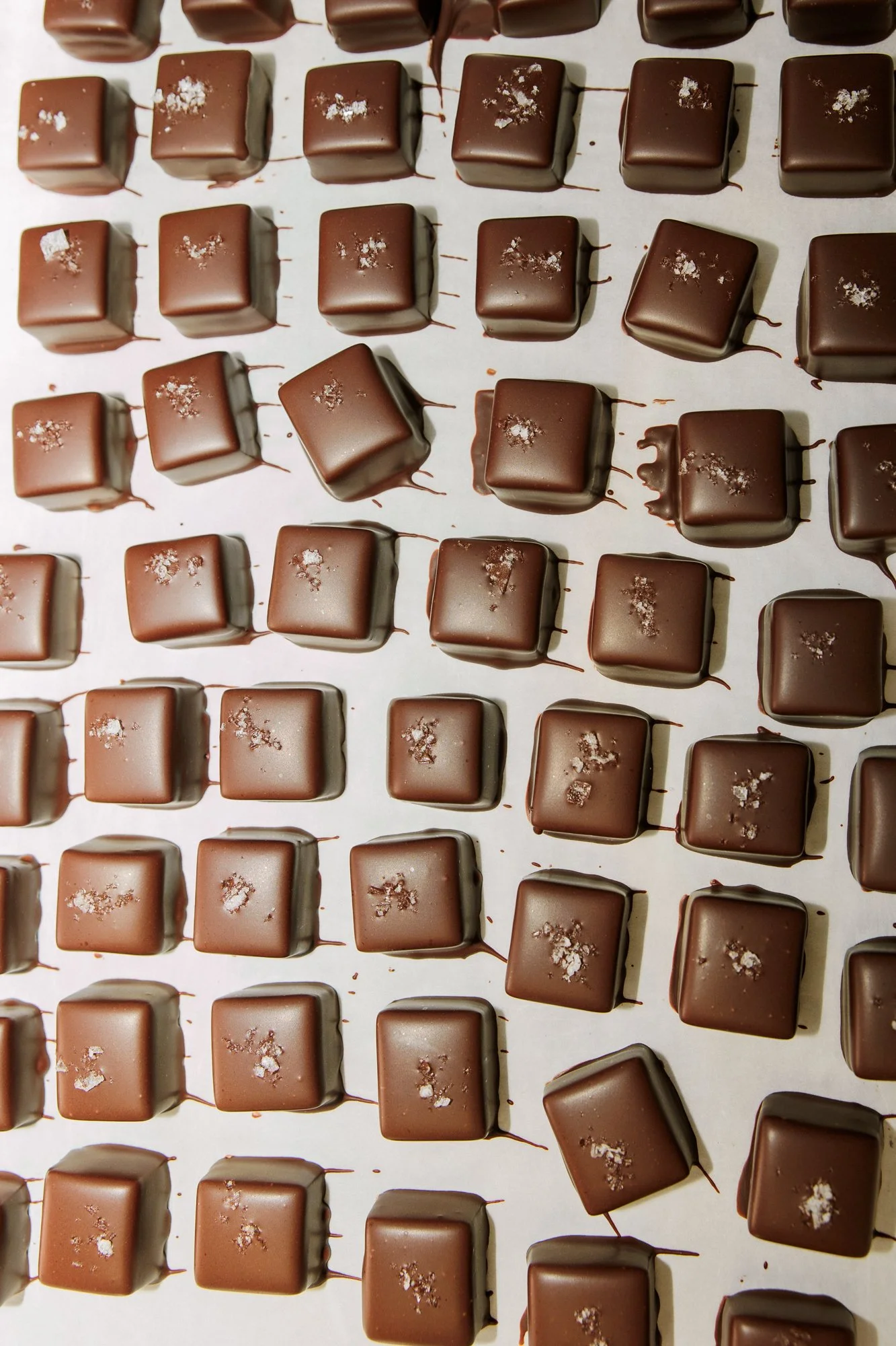 Escazu Chocolates