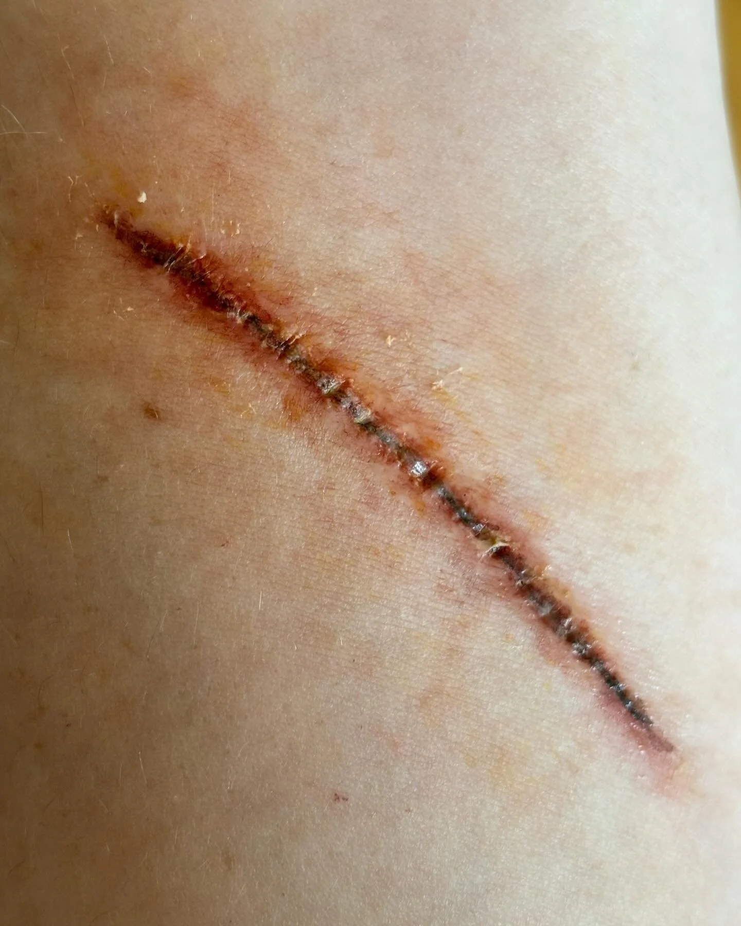 Thank you to my cat Shelley for today&rsquo;s inspiration 🥰

&hellip;&hellip;&hellip;&hellip;&hellip;&hellip;&hellip;&hellip;&hellip;&hellip;&hellip;&hellip;&hellip;&hellip;&hellip;&hellip;&hellip;&hellip;&hellip;

Products used:
@kryolanofficial 
@