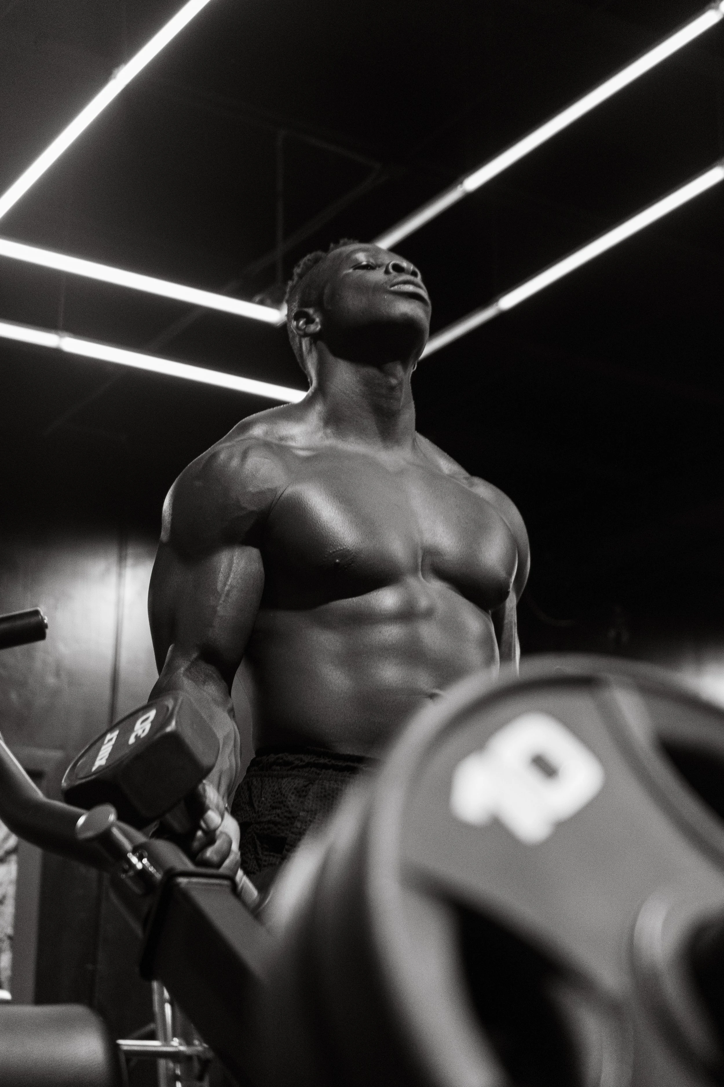 A shirtless man with a muscular build lifting dumbbells in a gym, with neon lights on the ceiling in black and white.