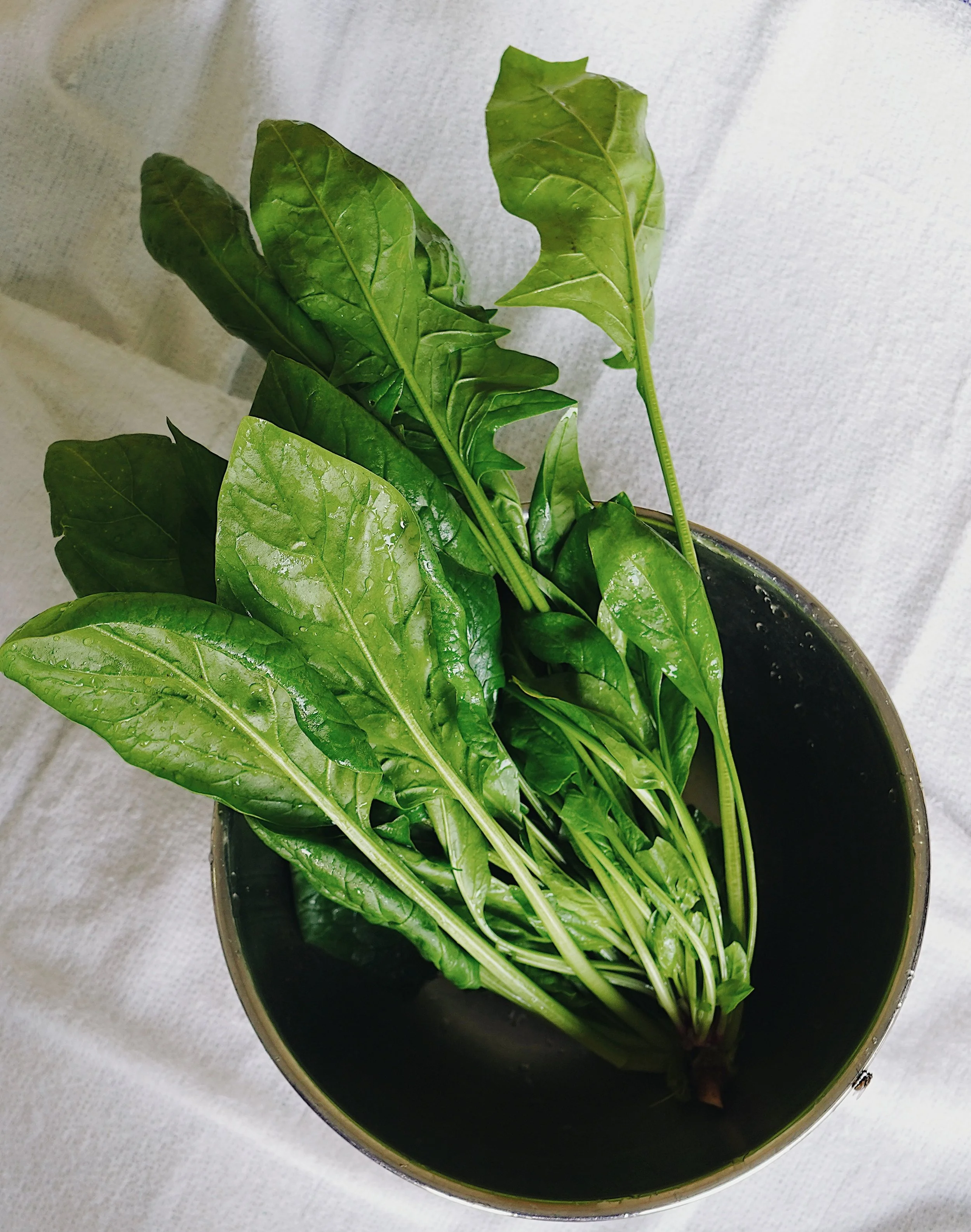 FullSizeRender_VSCO 2.JPG