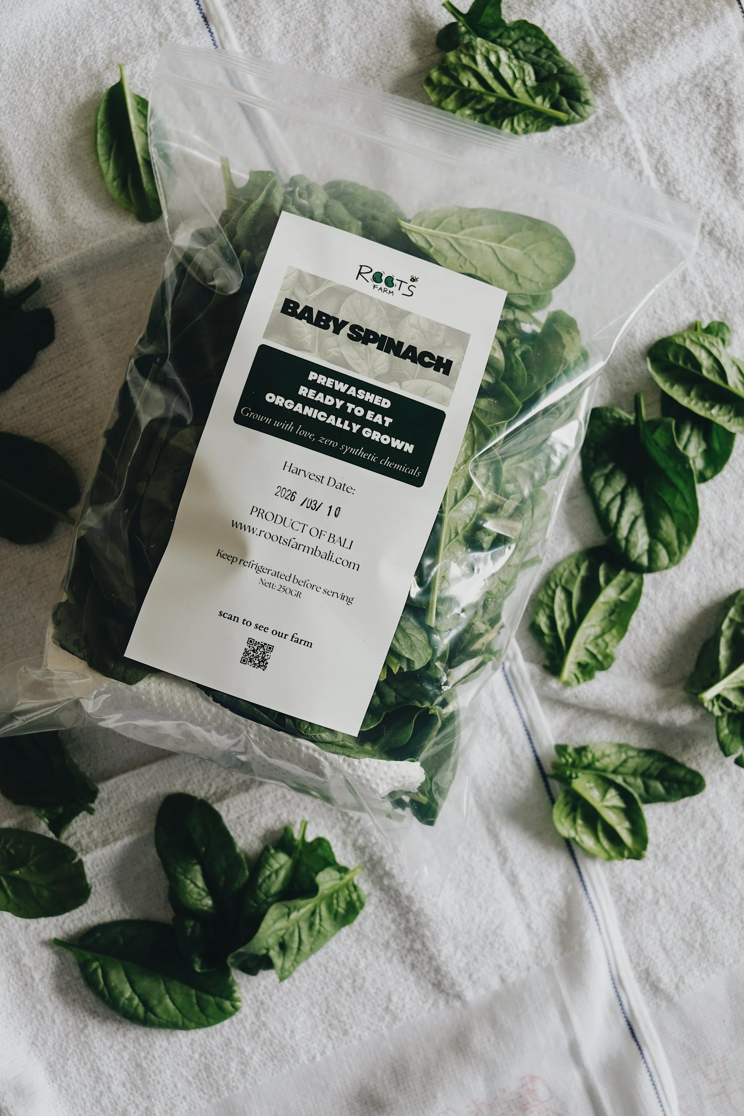 CADE0F13-7218-4F68-8F94-F4ED4025B300 2.JPG