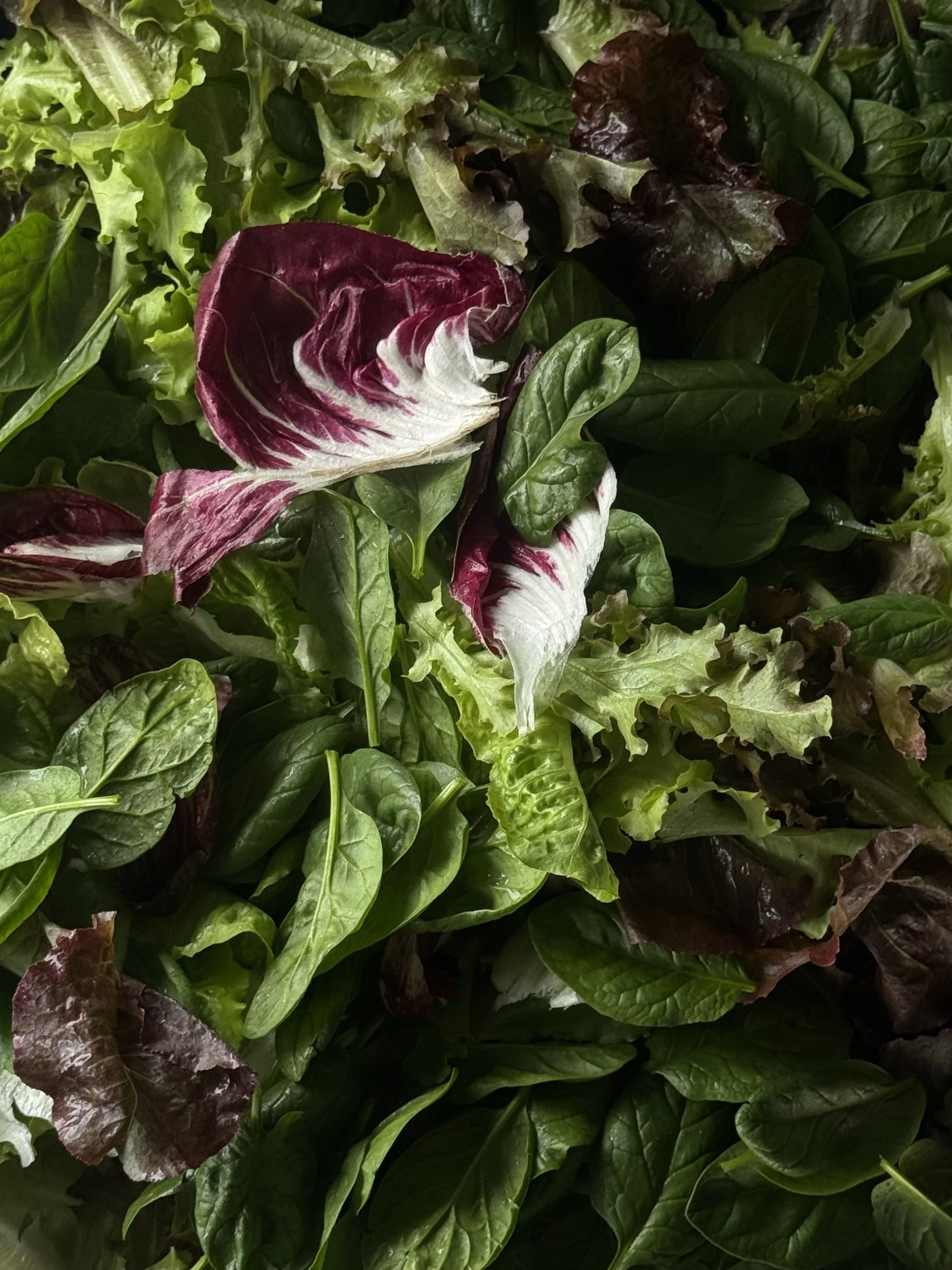 IMG_3248.jpg copy.jpg