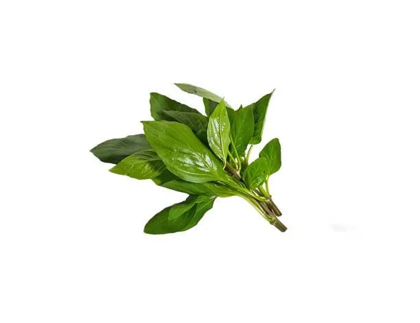 thai basil.jpg