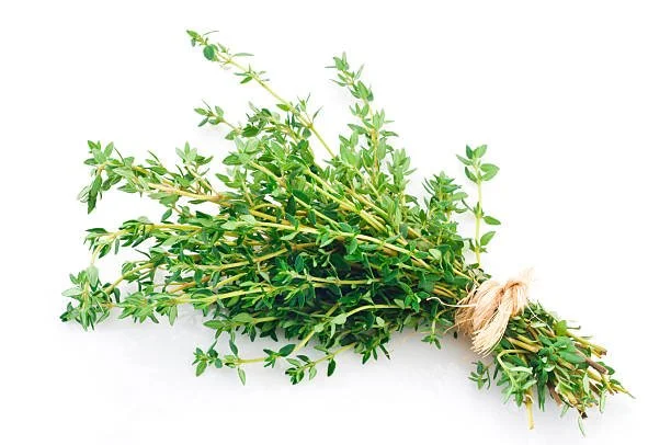 thyme2.jpg