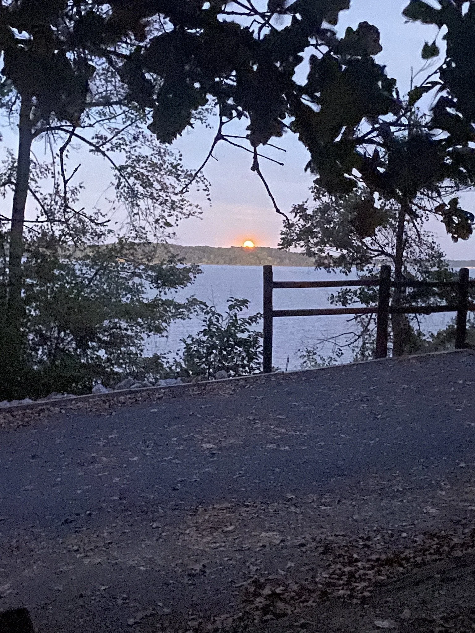 63167613-41CA-4F0B-A7C7-564423C8D37D_1_102_o.jpeg