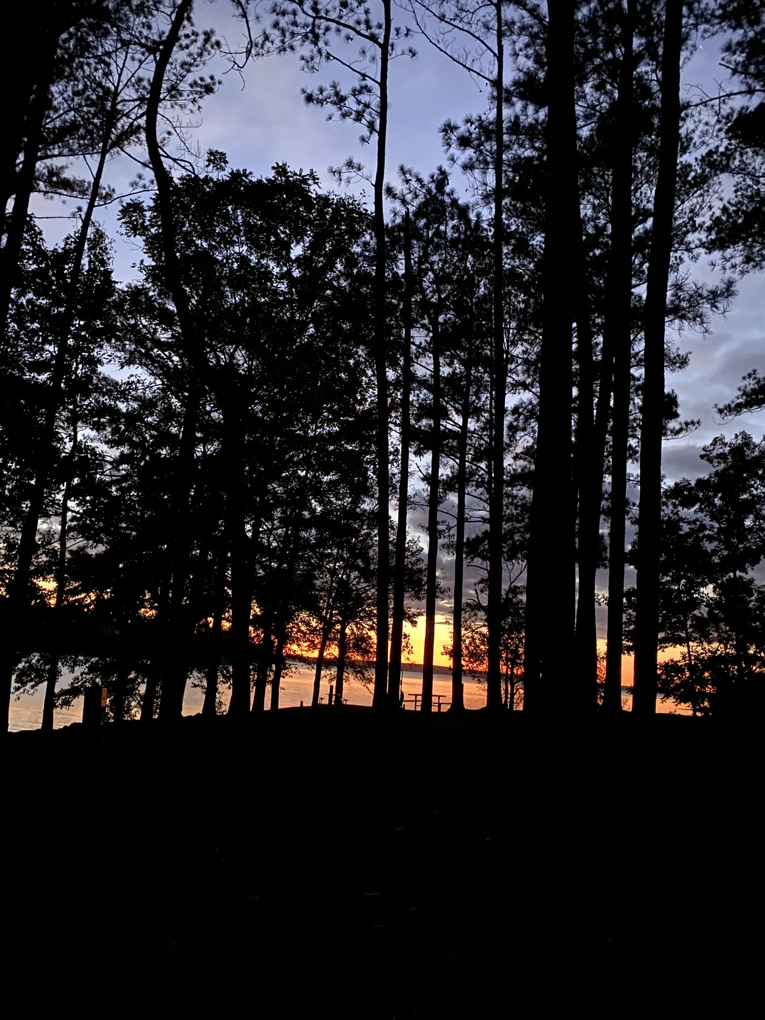 FE731684-59D2-4A9E-AE02-7E3C283CA808.jpeg