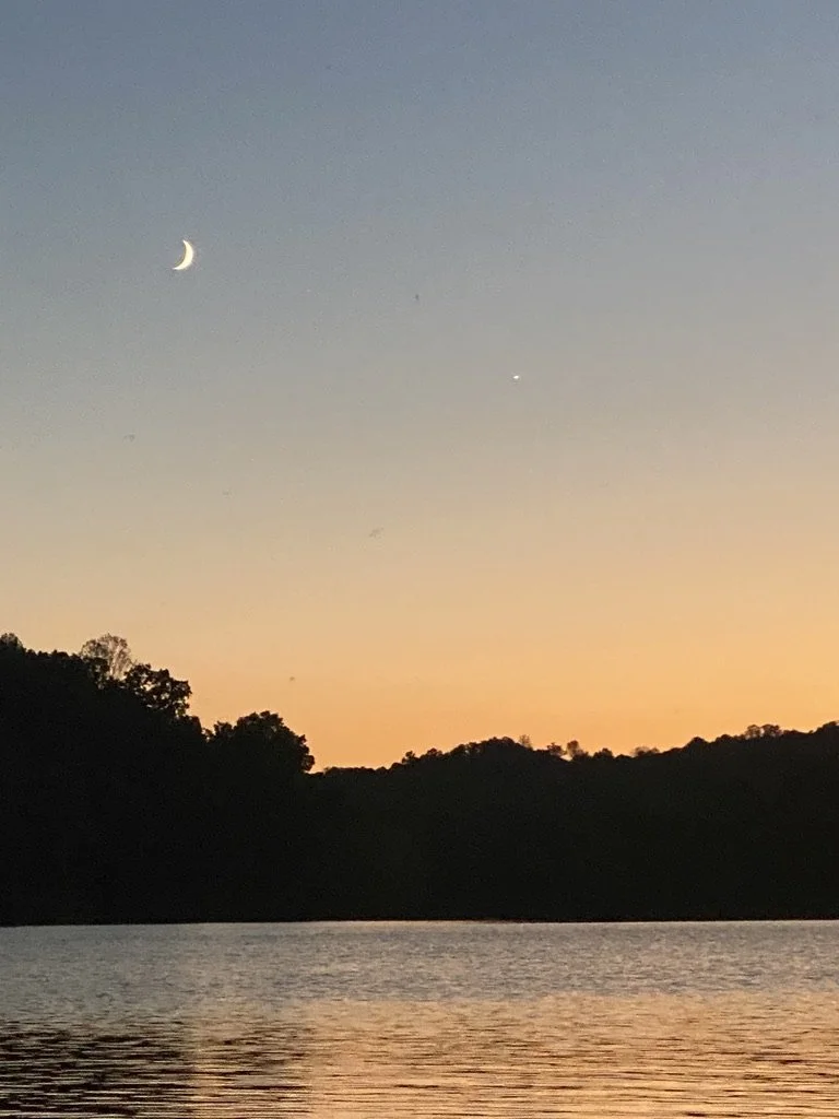 1E3CA738-ABD3-4FDD-8202-DA32A111B76E_1_105_c.jpeg