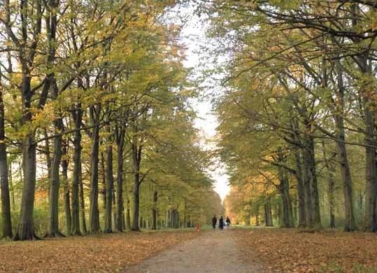 copijn historie 4.jpg