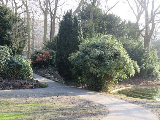 walkartpark 2016 februari (101).jpeg