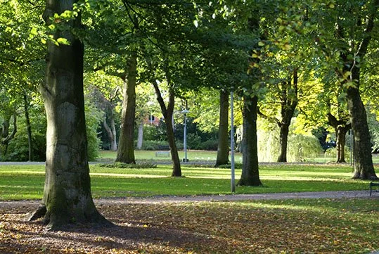 utrecht wilhelminapark4.jpg