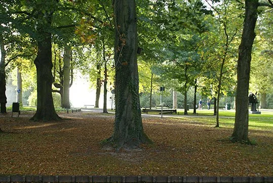 utrecht wilhelminapark1.jpg