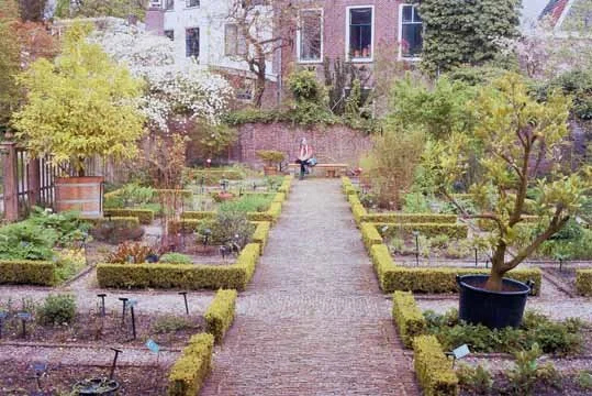utrecht oude hortus.jpg