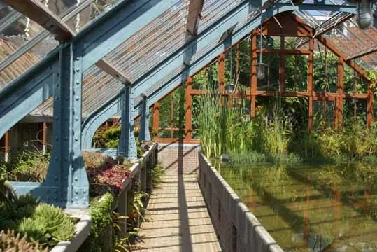 hortus Utrecht interieur kas.jpg