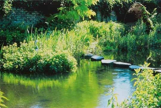 daktuin keulen 3.jpg