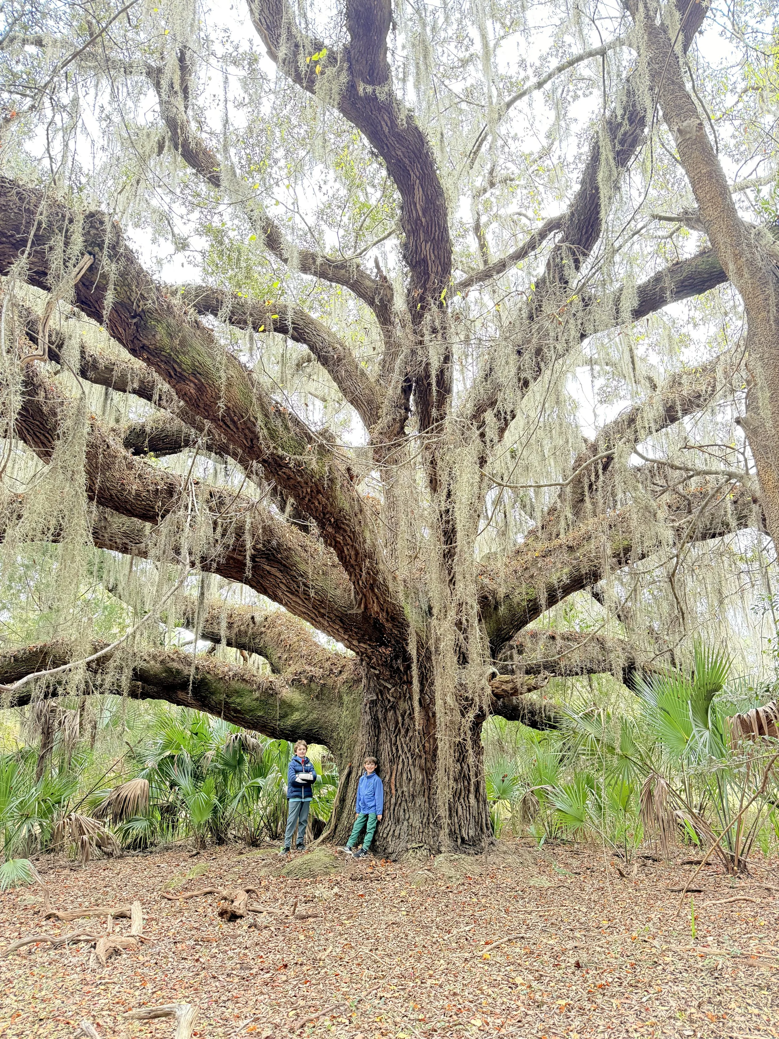 Where The Wild Still Lives 